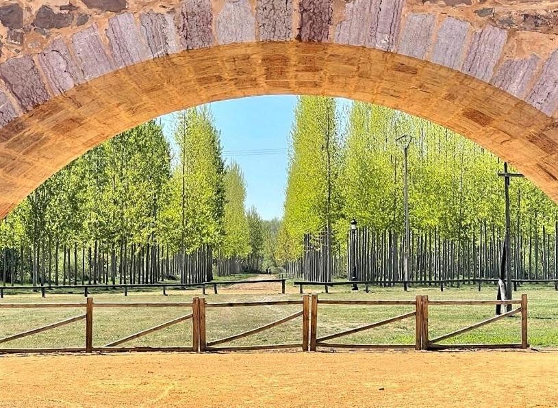 B&B Puente De Orbigo Hospital de Órbigo エクステリア 写真